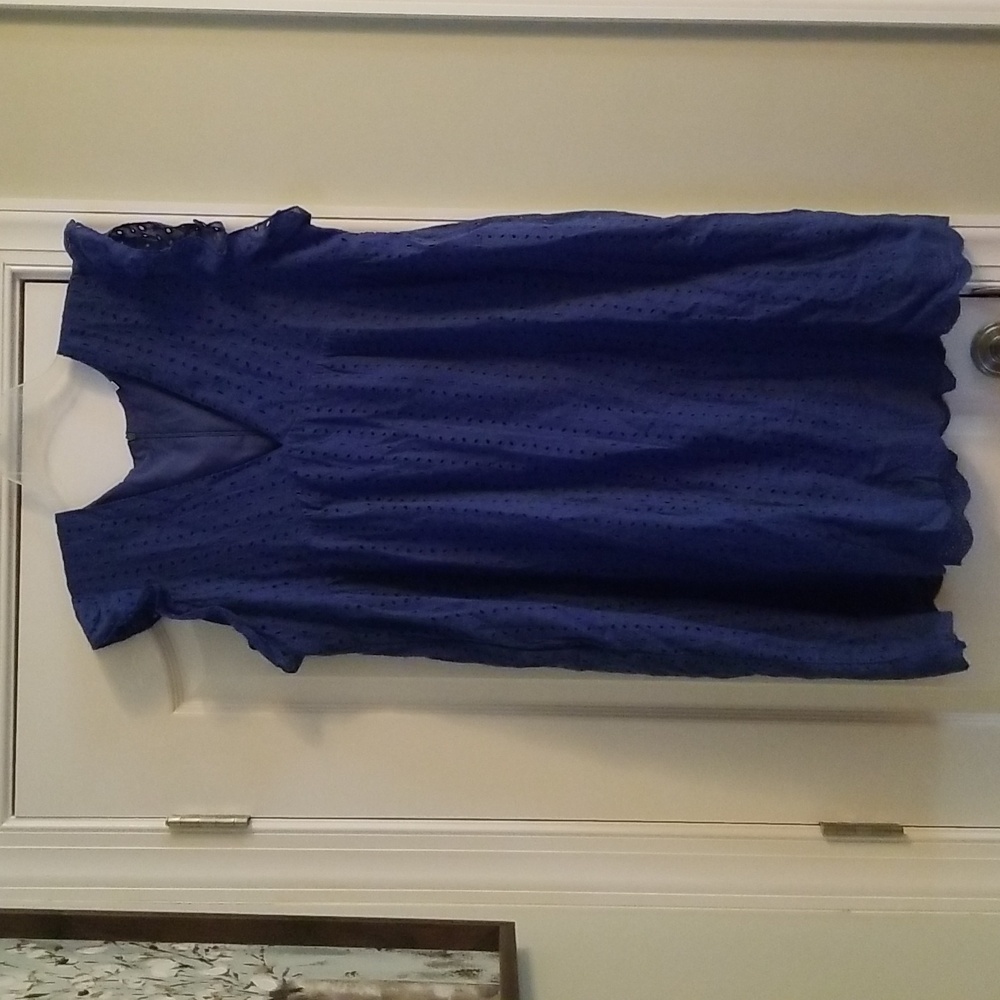 NWOT. Blue eyelet dress with flutter sleeves. Fully lined.